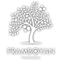 logo BLANCO SOMBRA
